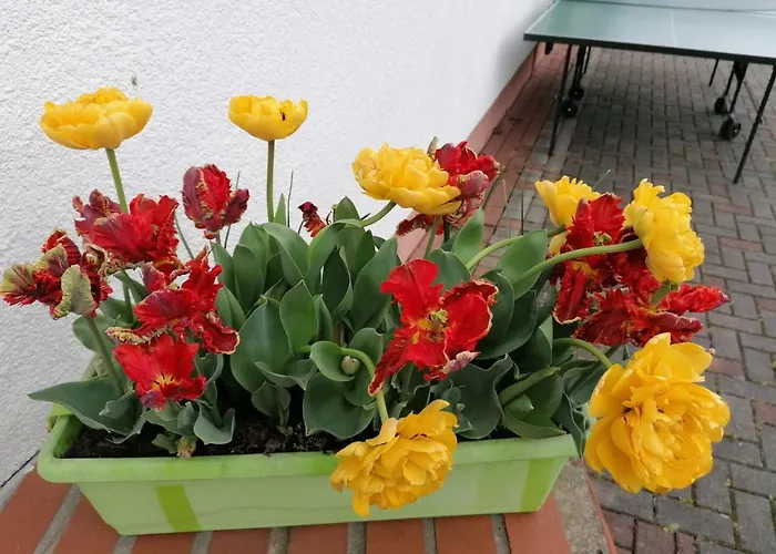 Hotel Nassau Meissen